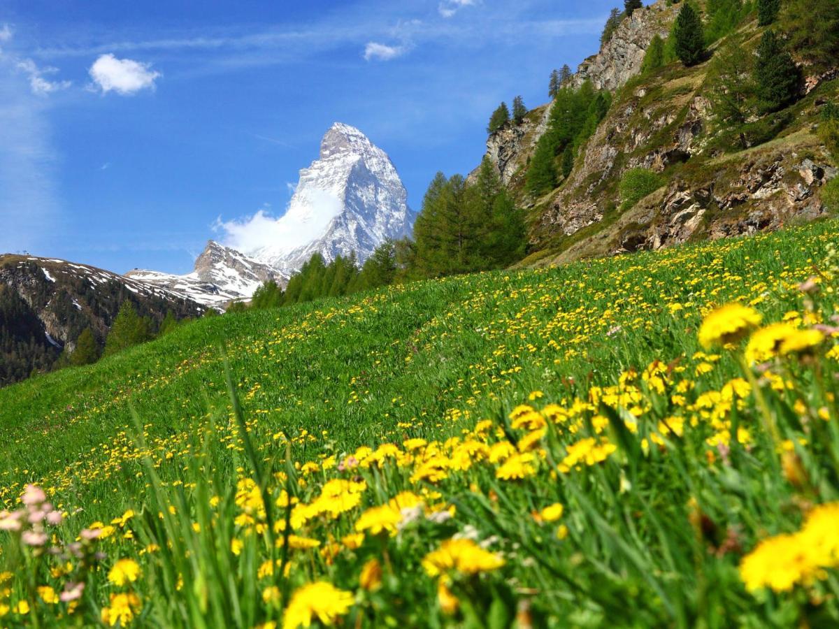 Apartment Bellevue-6 By Interhome Zermatt Buitenkant foto